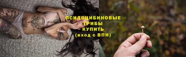 ПСИЛОЦИБИНОВЫЕ ГРИБЫ Пересвет