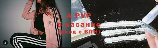 прущие грибы Переславль-Залесский