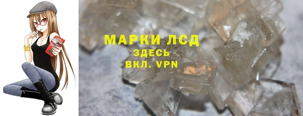 прущие грибы Переславль-Залесский