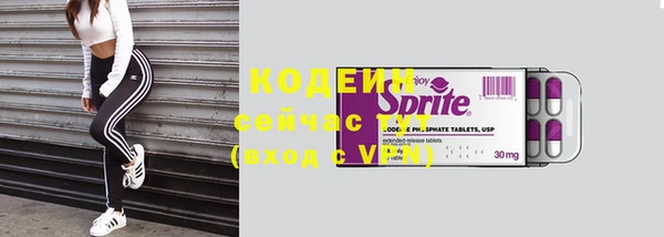 прущие грибы Переславль-Залесский