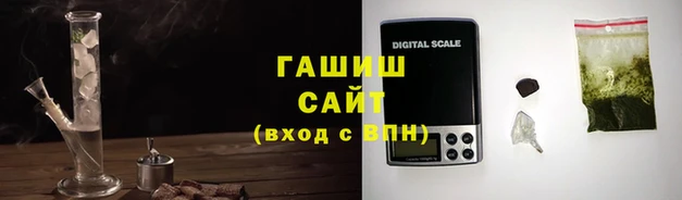 прущие грибы Переславль-Залесский