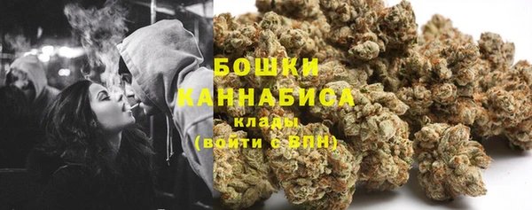 прущие грибы Переславль-Залесский
