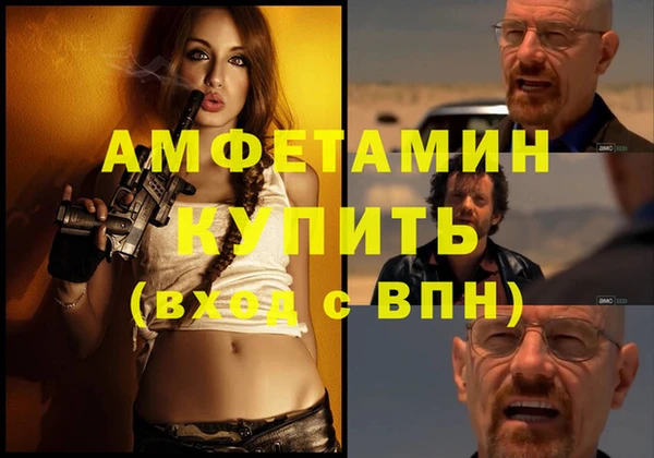 прущие грибы Переславль-Залесский