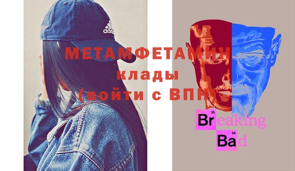 прущие грибы Переславль-Залесский
