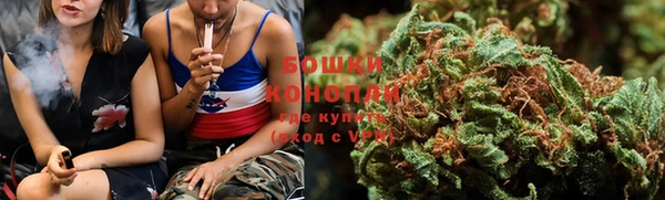 ПСИЛОЦИБИНОВЫЕ ГРИБЫ Пересвет