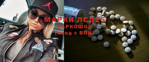 прущие грибы Переславль-Залесский