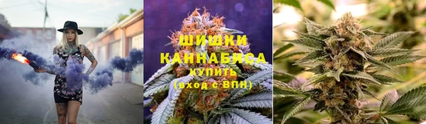ПСИЛОЦИБИНОВЫЕ ГРИБЫ Пересвет