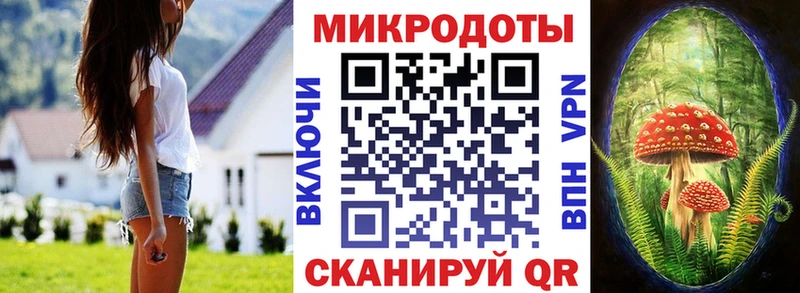 закладка  Вязьма  Псилоцибиновые грибы GOLDEN TEACHER 