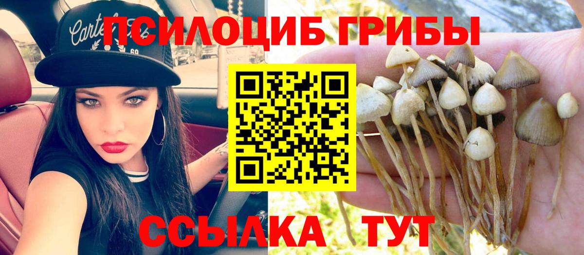 Галлюциногенные грибы мицелий  Вход с VPN  Вязьма  Псилоцибиновые грибы Psilocybine cubensis 